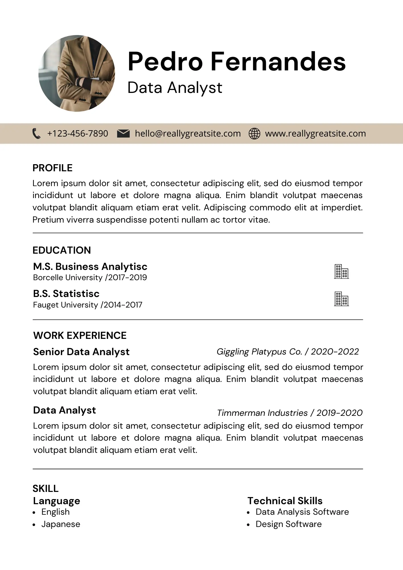 Resume Template 7